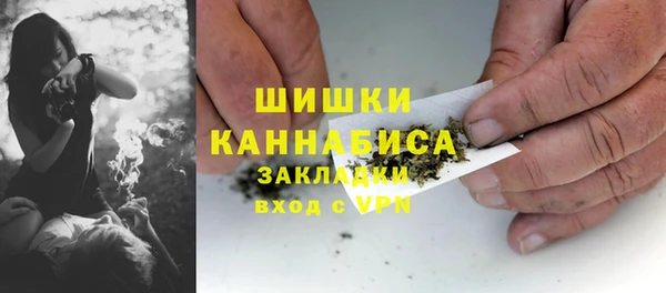 ПСИЛОЦИБИНОВЫЕ ГРИБЫ Балахна