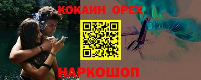 молекула духа Кингисепп