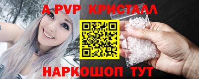 молекула духа Кингисепп