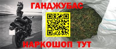 молекула духа Кингисепп