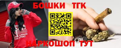молекула духа Кингисепп