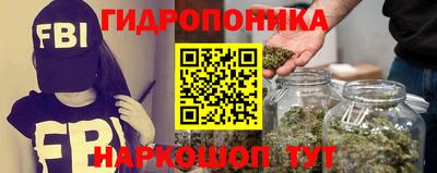 стафф Кинель