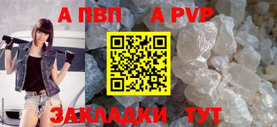 стафф Кинель