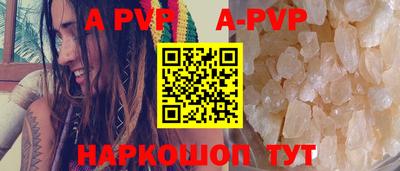 молекула духа Кингисепп