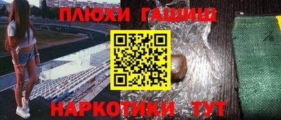 молекула духа Кингисепп