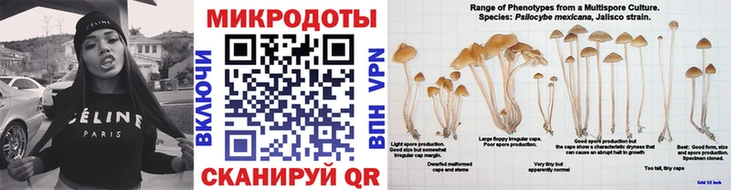 Псилоцибиновые грибы прущие грибы  Краснокаменск 