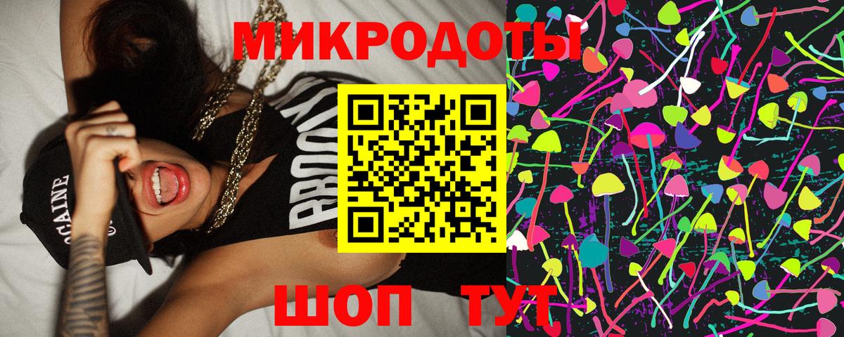 Галлюциногенные грибы Psilocybe Краснокаменск